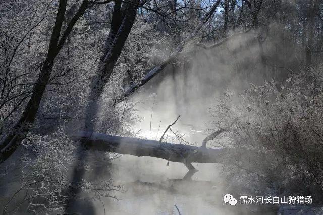 新熊出没找不同