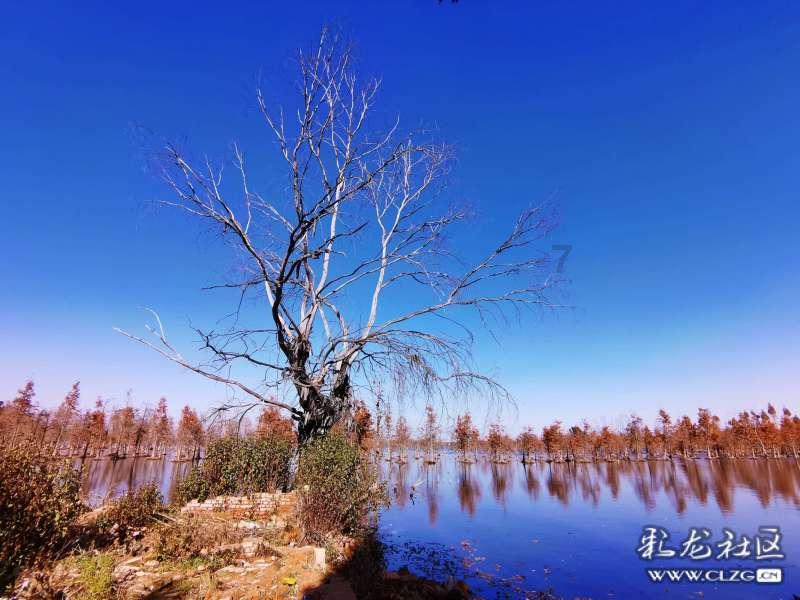 河磨玉黄白手串有棉絮值得收藏吗?-全球领先的知识问答网页