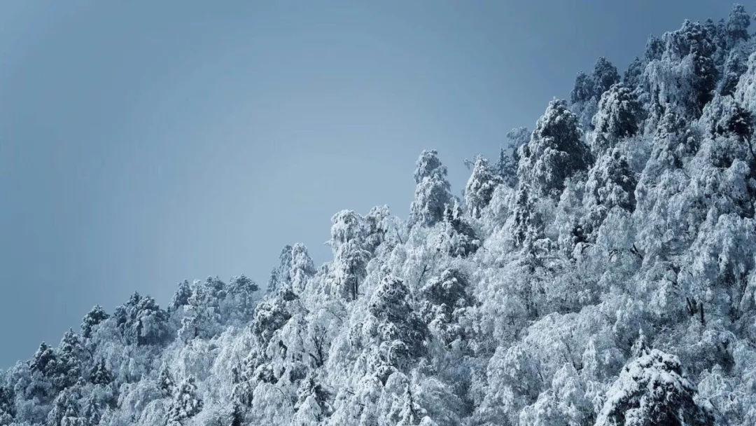 孕早期的妈咪要注意休息，休息不够会导致什么后果？游戏画面