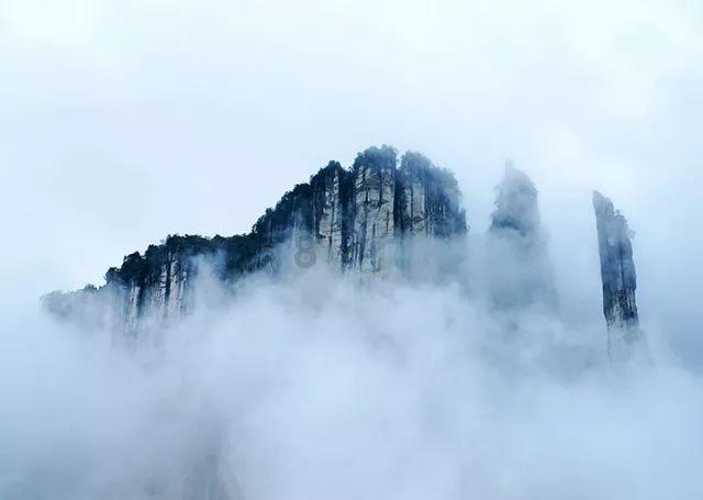 向太发文感叹“太聪明会累”，如何看待向太这次的发文内容？游戏画面