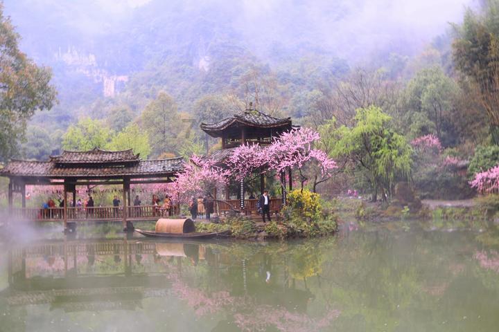 沪江开心词场