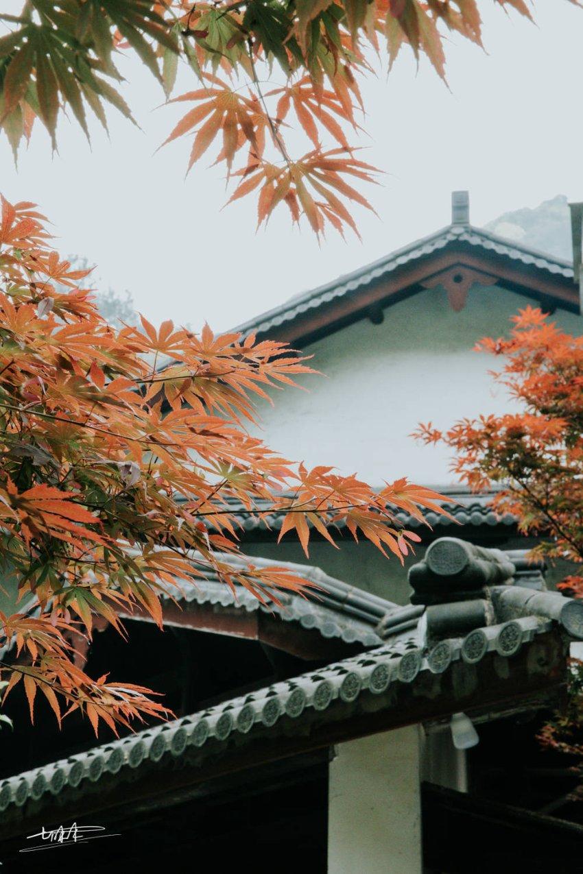 今日头条上线新年对话特别节目,梁永安、王计兵、叶子畅聊“人间文学”
