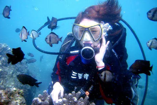 魏总 郑恺：充满喜剧色彩的显眼包式人物，海宁文化旅游推广大使