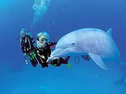 寒冷的冬天想要泡温泉，中国的天然温泉有哪些？游戏画面