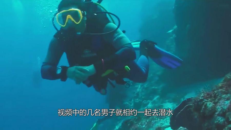 可爱南瓜救援精灵