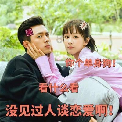 我想养猫,可是妈妈特别讨厌宠物,她觉得宠物都有病菌,怎么解决呢?的红迪网 - 专注于我想养猫,可是妈妈特别讨厌宠物,她觉得宠物都有病菌,怎么解决呢?话题的网上社区