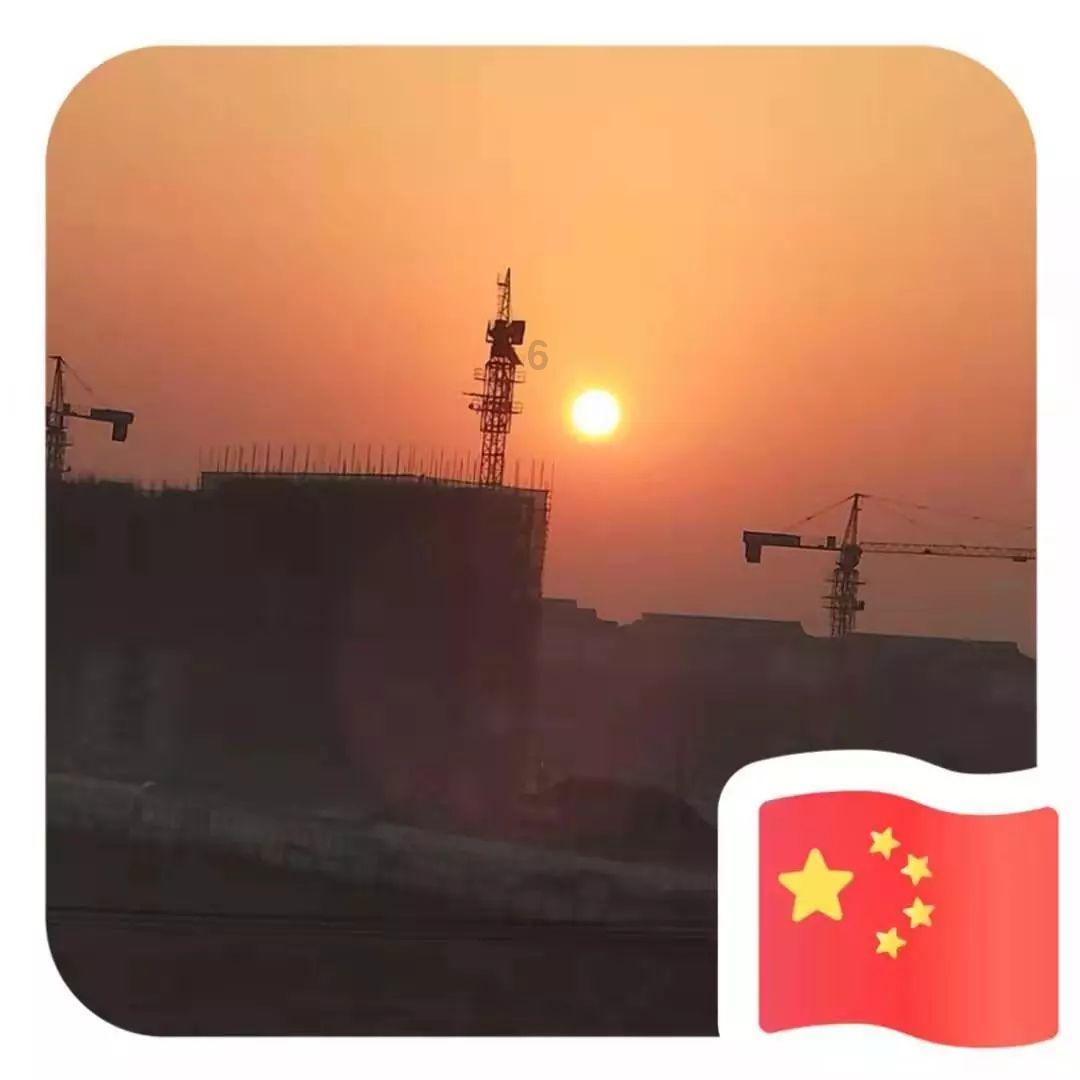 动物帮帮忙保卫家园