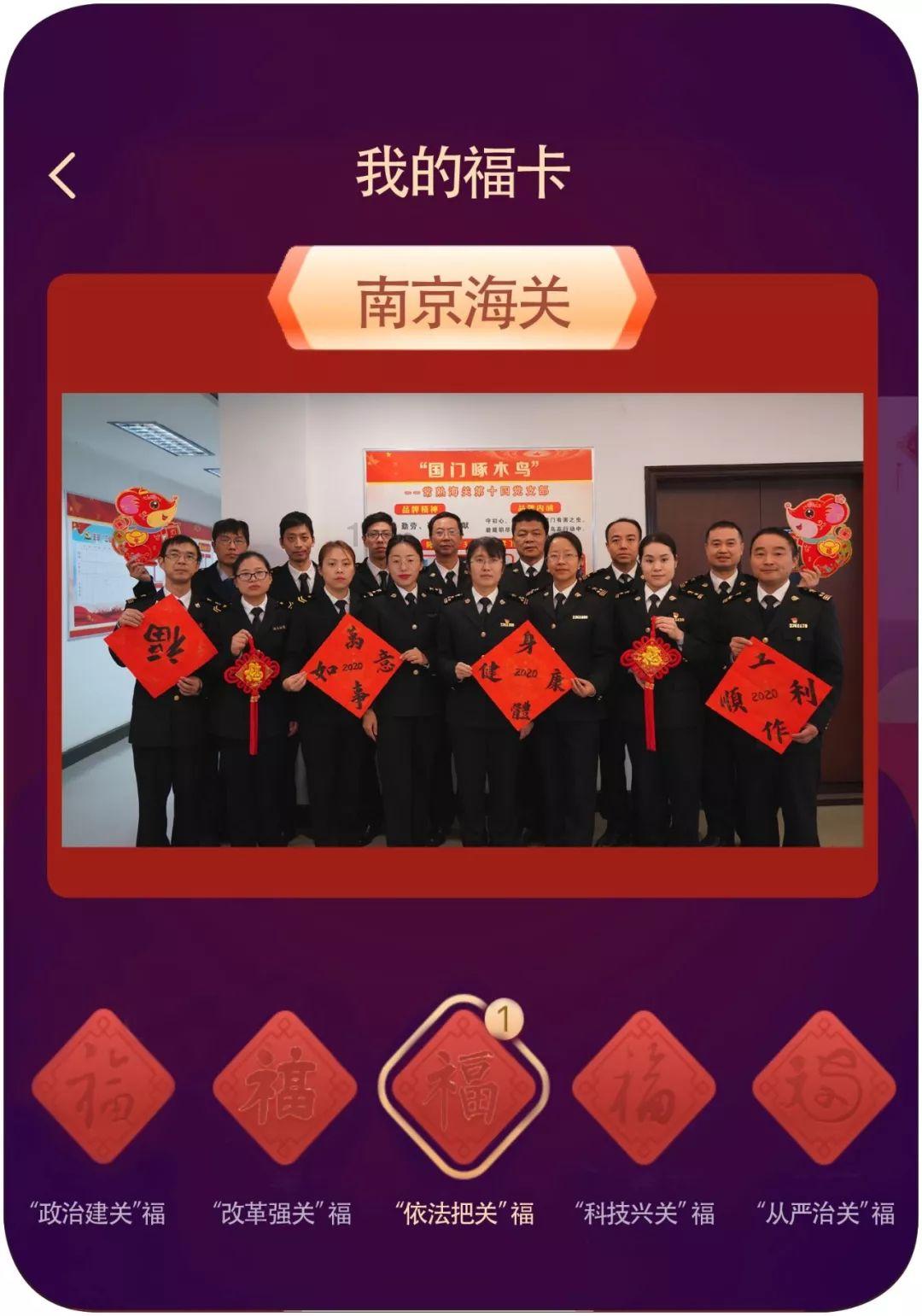 拯救受伤的猫