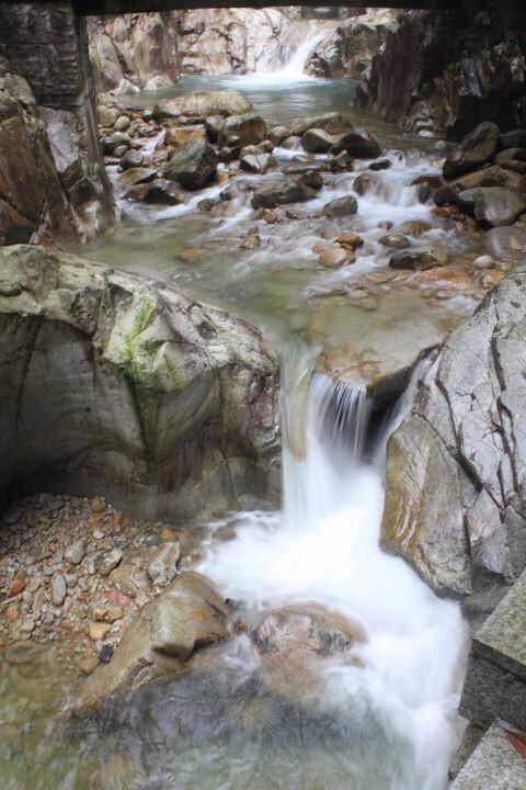 人类：一败涂地