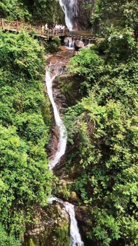 生活中有一些人饱受失眠的困扰，失眠是怎么引起的？游戏画面