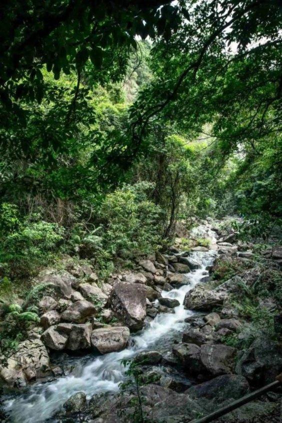 一个大学生每天都为钱的事情发愁，郁郁寡欢？