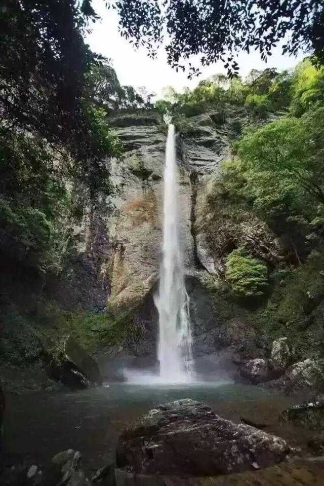 月光影视