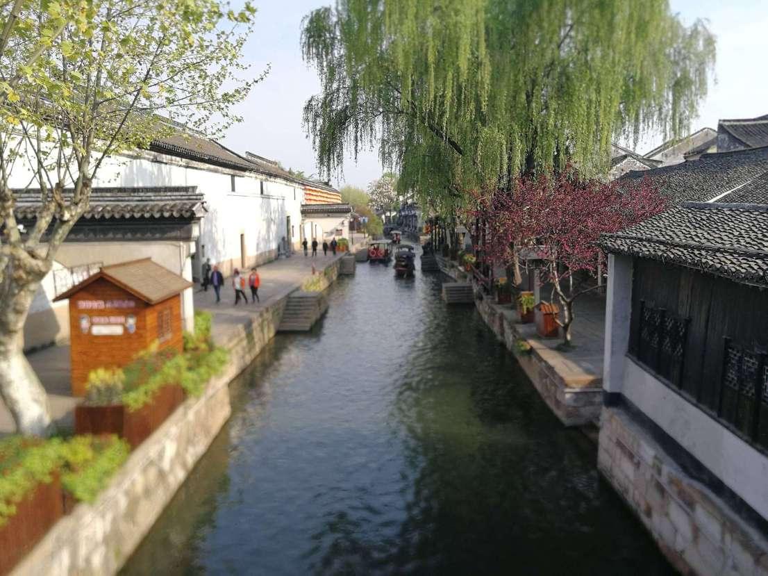 请问这是什么花？是玉兰花吗