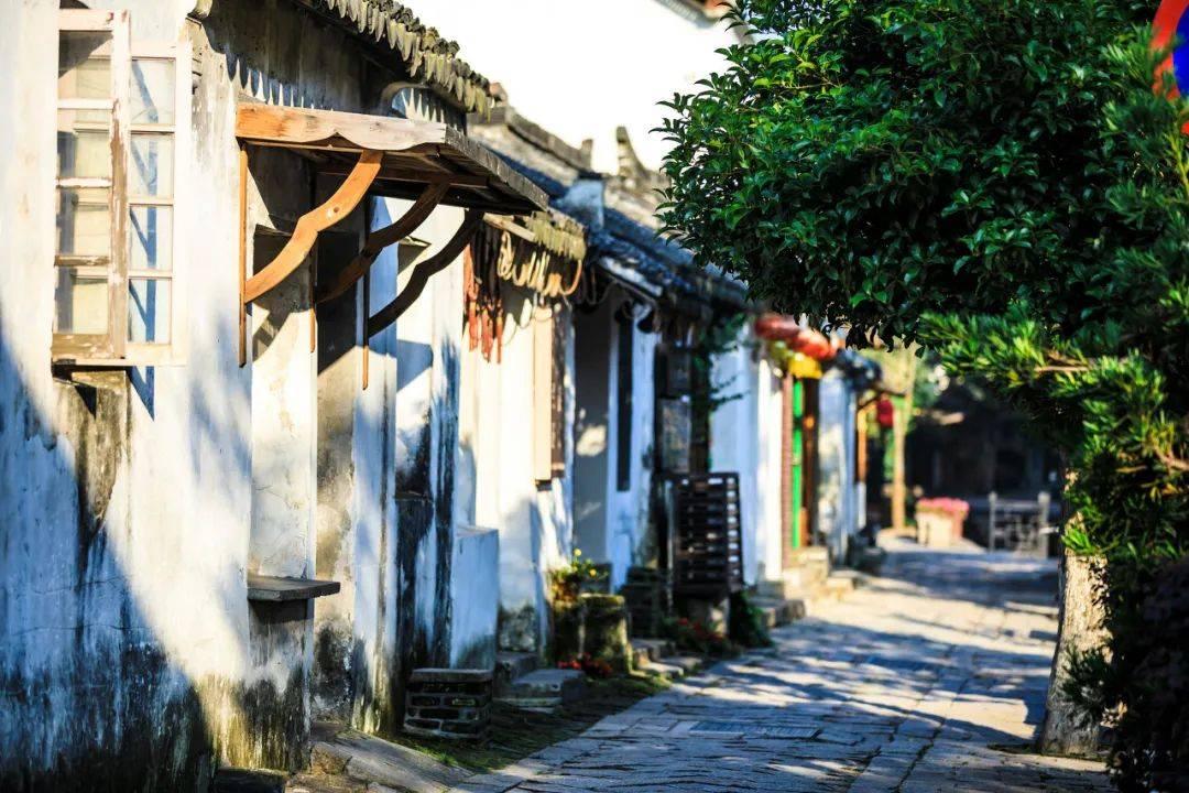 九张羊皮纸